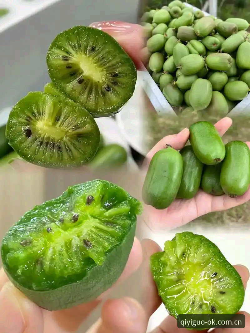 资深用户分享：奇异果体育入口的实用指南与高效操作心得