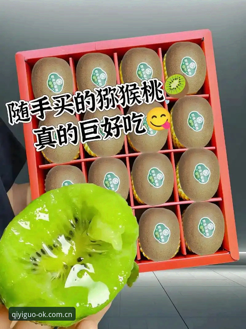 奇异果体育入口寻找完整指南：从官网认证到客户端安装全流程解析